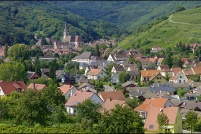 67140-Andlau.  Le village vu du vignoble. : panorama,andlau,67