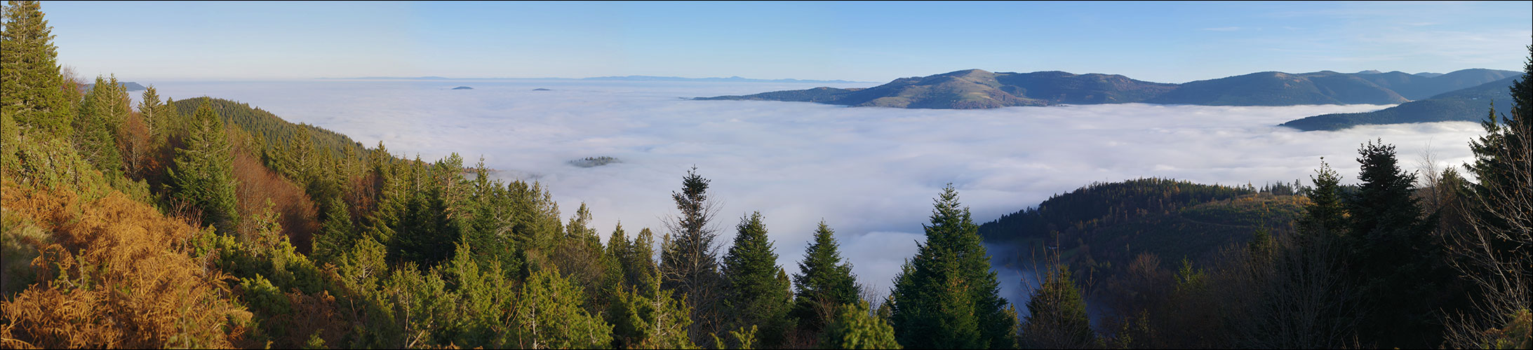 68-Mer de brouillard sur la vallée de Munster.