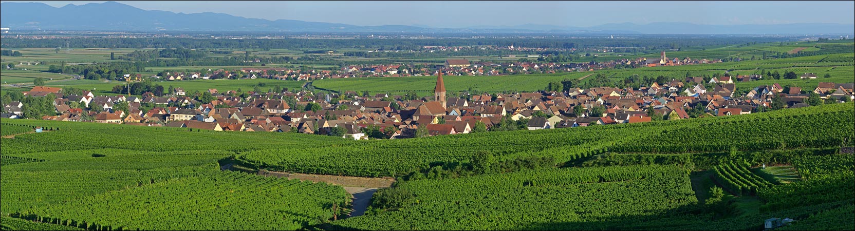 68920-Wettolsheim et au second plan Eguisheim.