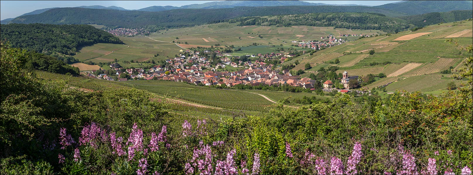 68250-Westhalten.