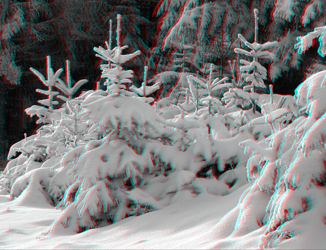 88-Paysage d'hiver en foret vosgienne.