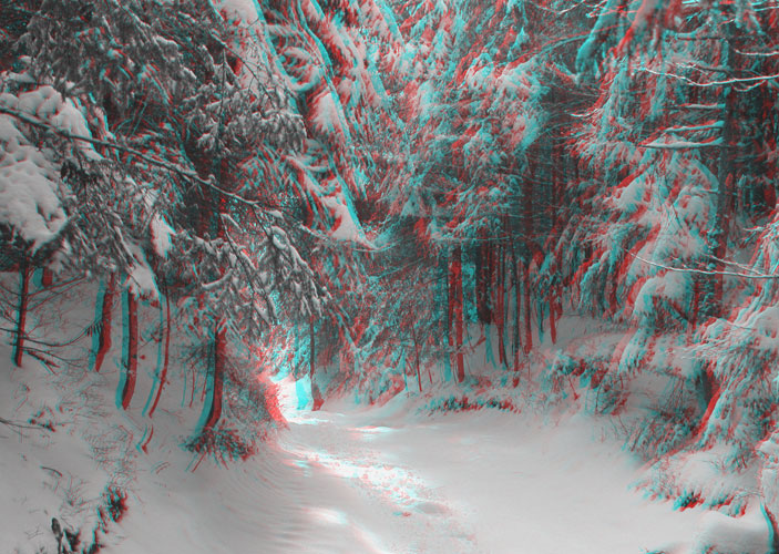 88-Paysage d'hiver en foret vosgienne.