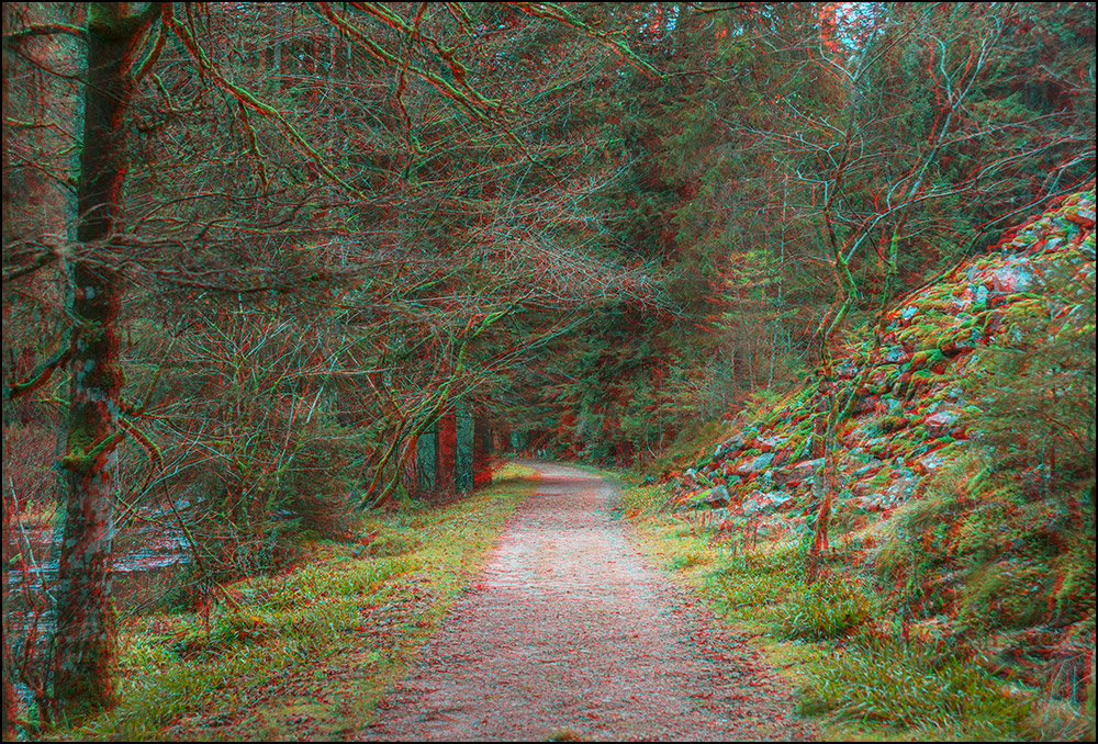 88400 - Gérardmer, chemin Holweck.