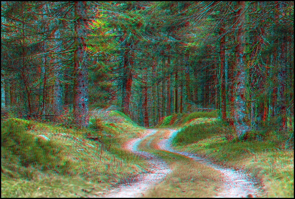 88-Route forestière du Crosté.