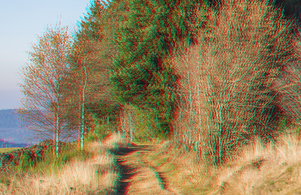 88 - Arrenrtes de Corcieux.