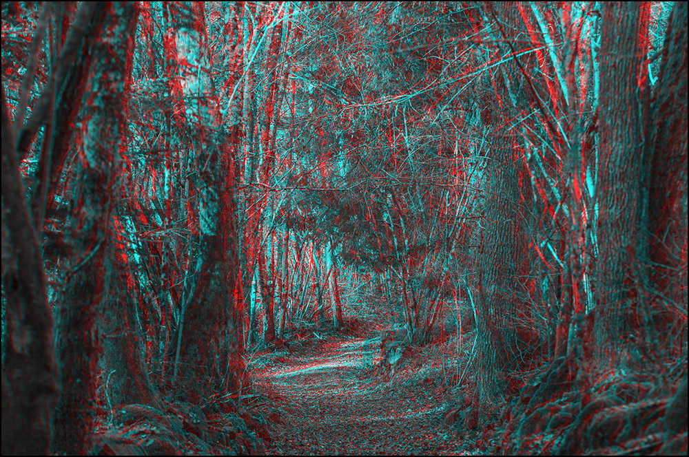 88 - Granges-sur-Vologne - Sentier de Fayard.