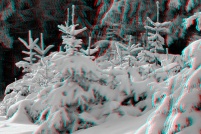 88-Paysage d'hiver en foret vosgienne. : photos,3d,paysage,hiver,vosges,88