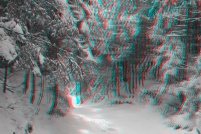 88-Paysage d'hiver en foret vosgienne. : photos,3d,paysage,hiver,vosges,88