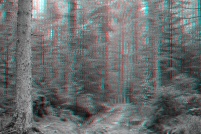 88-Paysage d'hiver en foret vosgienne. : photos,3d,paysage,hiver,vosges,88