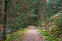 88400 - Gérardmer, chemin Holweck. : photo,3d,paysage,88