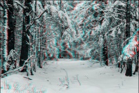 88-Paysage d'hiver en foret vosgienne. : photos,3d,paysage,hiver,vosges,88