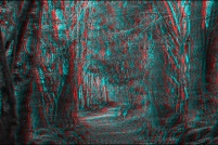 Sentier-Fayard-1.jpg