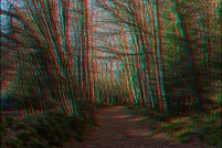 Sentier-Fayard-2.jpg