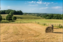 03-Allier-Paysage-rural-(2).jpg