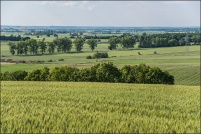 03110-Cognat-Paysages-(1).jpg