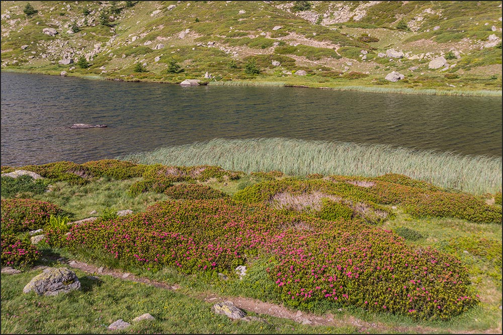 05100 - Névache.