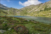 05100 - Névache.  Lac de Cristol, altitude 2245m. : 05,Névache,Lac,Cristol