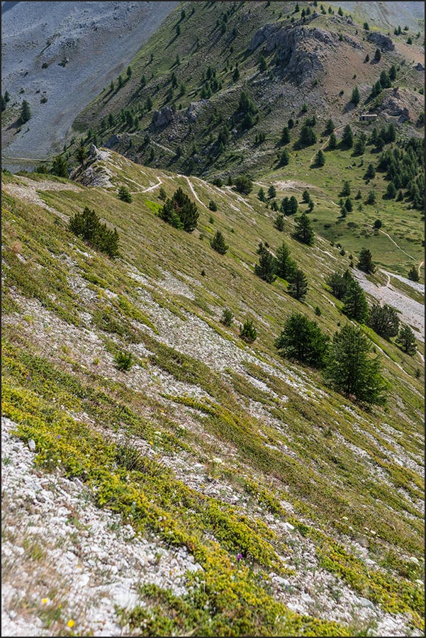 05600-Ceillac.
