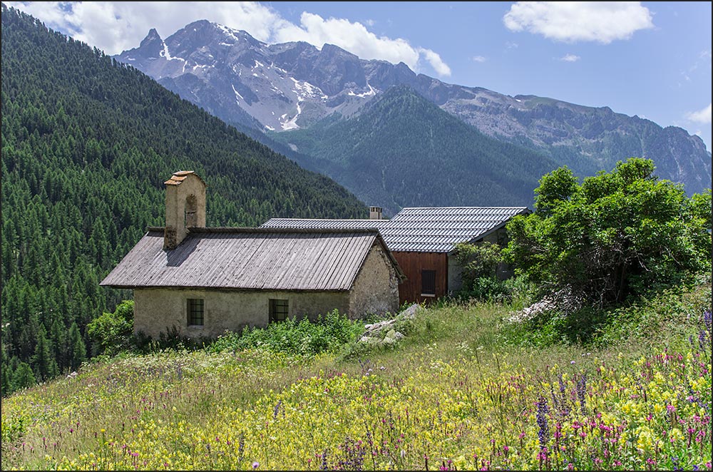 05600-Ceillac.  