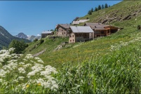 05600-Ceillac.  Le hameau du Rioufenc. : 05,Rioufenc,Ceillac