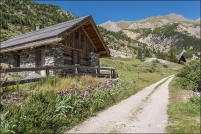 05600-Ceillac.  Le hameau du Villard. : 05,Villard,Ceillac