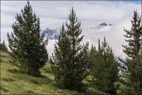 05600-Ceillac.  Paysage vu du sentier montant au col de Bramousse. : 05,col,Bramousse,paysage,Ceillac