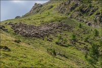 05600-Ceillac.  vu du sentier montant au col de Clausis. : 05,col,Clausis,paysage,Ceillac