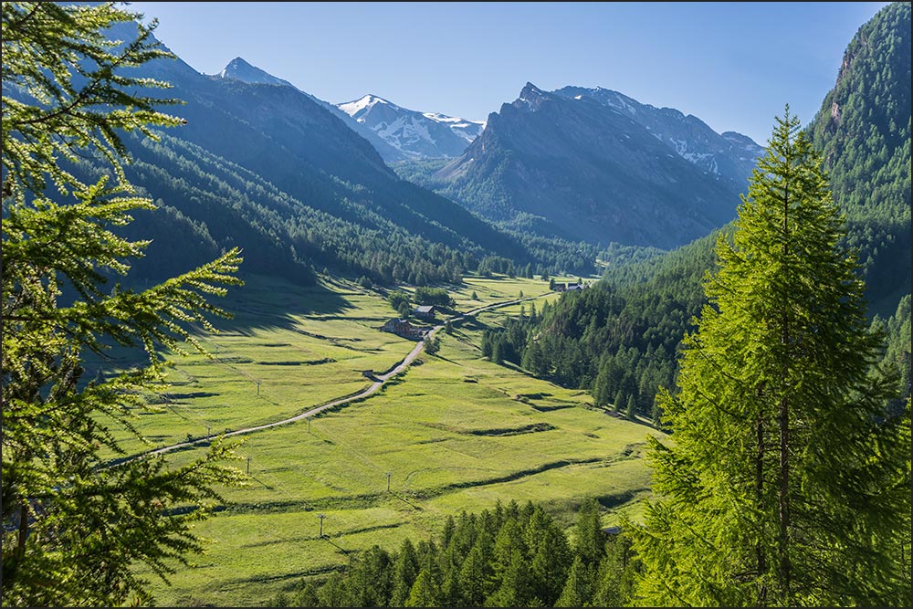 05600 - Ceillac. 