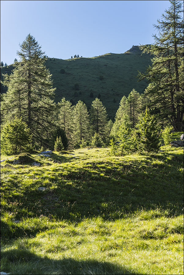 05600 - Ceillac. 