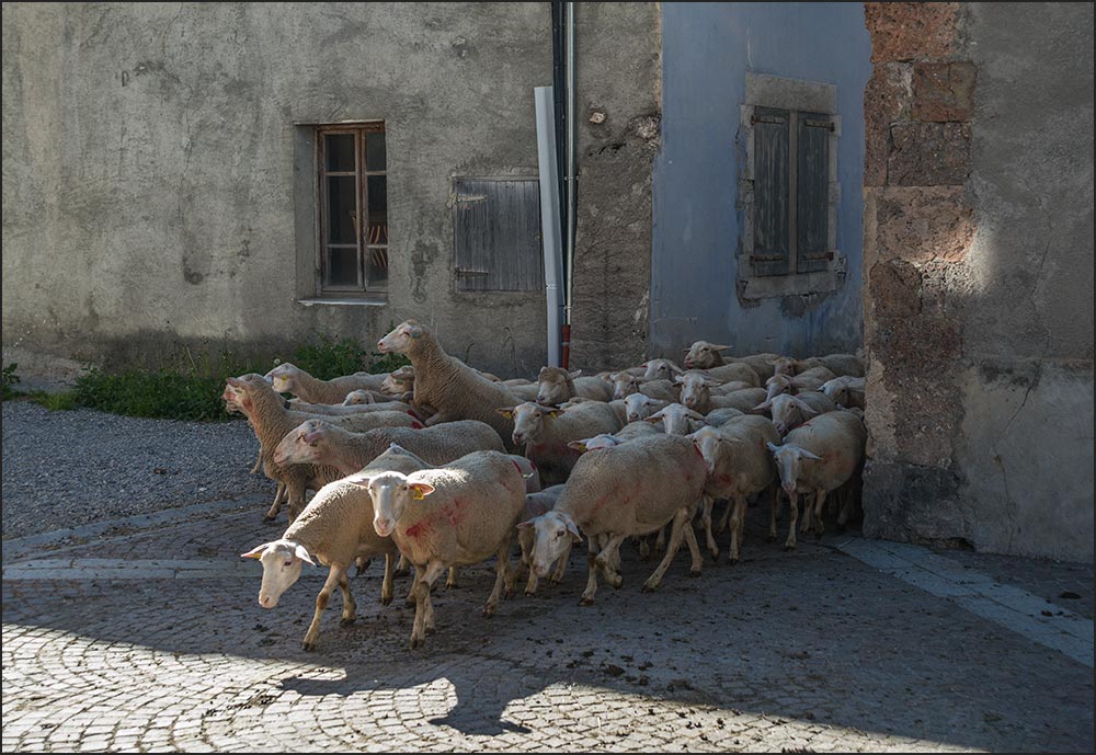 Ceillac.