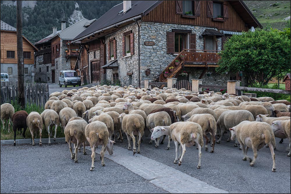 Ceillac.