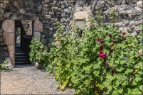 05130 - Tallard.  Le château. : 05,tallard,village,château,église