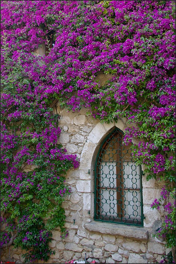 06360-Eze. 