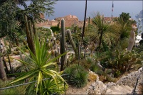 06360-Eze.  Le jardin exotique.