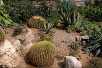 06360-Eze.  Le jardin exotique.