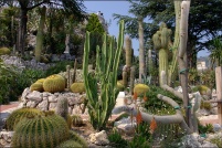 06360-Eze.  Le jardin exotique.