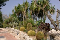 06360-Eze.  Le jardin exotique.