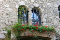 06360-Eze.
