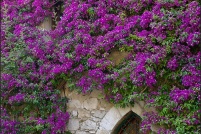 06360-Eze.