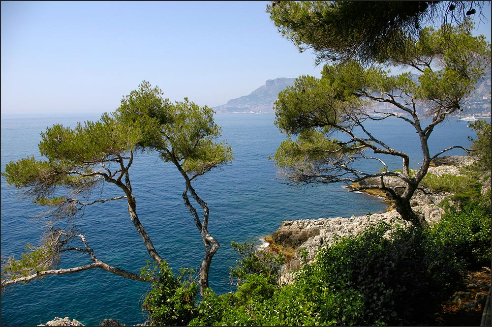 06190-Roquebrune-Cap-Martin.