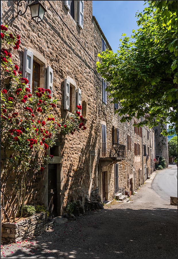12230-Sainte-Eulalie-de-Cernon.