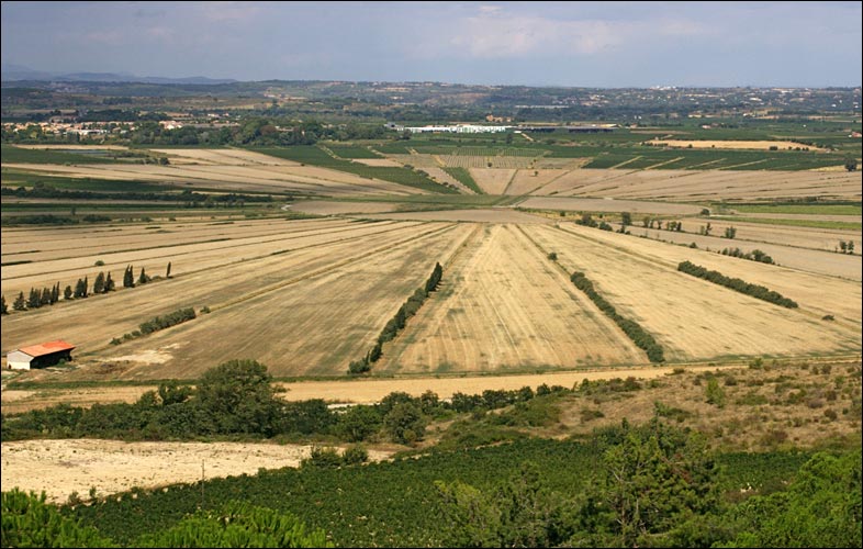 34440-Etang de Montady.