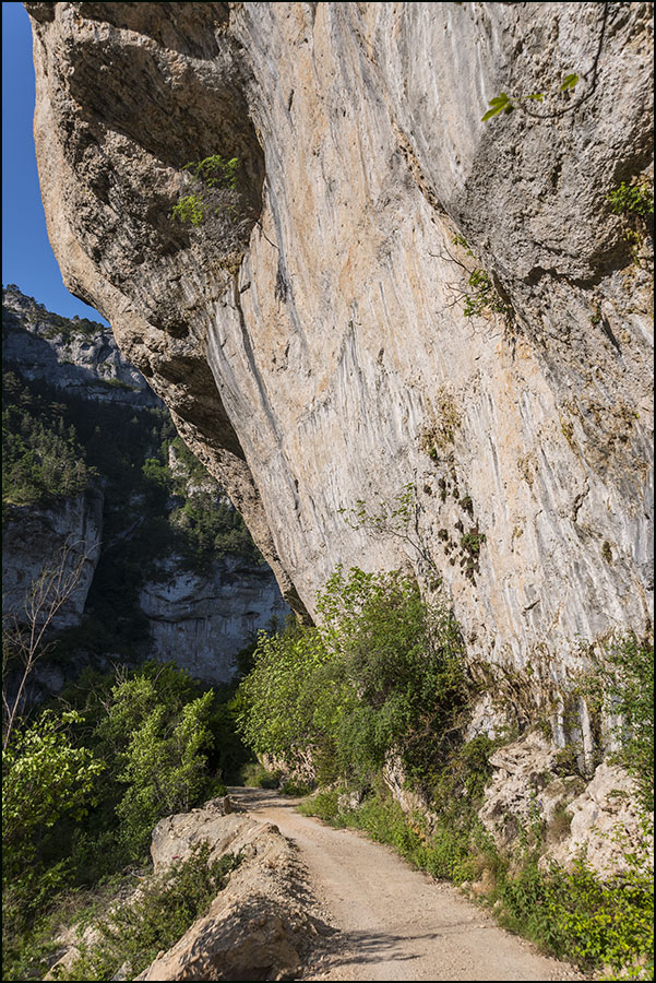 48-Gorges du Tarn.