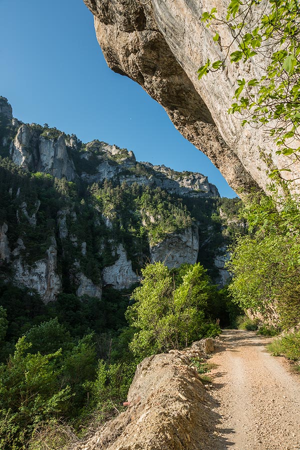 48-Gorges du Tarn.
