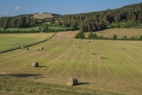 48-Causse de Sauveterre. : 48,Causse,Sauveterre,paysage,Lozère