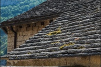 48210-La Malène. : 48,La,Malene,Gorges,Tarn