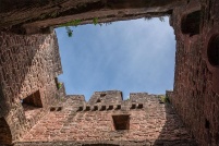57230 - Philippsbourg.  Ruine du château de Falkenstein. : 57,Philippsbourg,château,ruine,Falkenstein