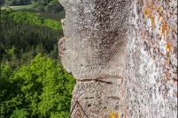 57230 - Philippsbourg.  Ruine du château de Falkenstein. : 57,Philippsbourg,château,ruine,Falkenstein