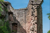 57230 - Philippsbourg.  Ruine du château de Falkenstein. : 57,Philippsbourg,château,ruine,Falkenstein