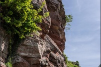 57230 - Philippsbourg.  Ruine du château de Falkenstein. : 57,Philippsbourg,château,ruine,Falkenstein